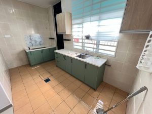 6080319733220708345 copy