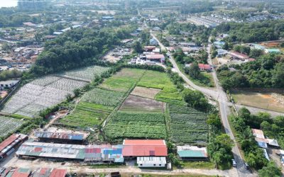 6289309113812454886 400x250